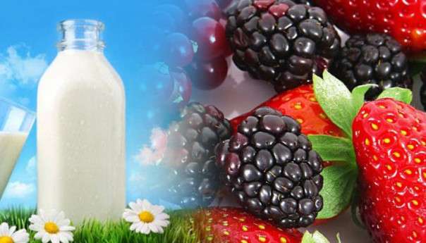 Јавни позив за подношење захтјева за додјелу бесповратних средстава за сектор јагодичастог воћа и мљекарства