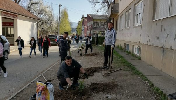 Посађене нове саднице за љепши Котор Варош