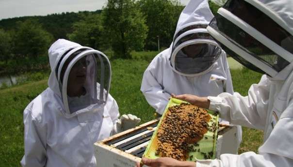 Стручно предавање за пчеларе