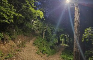 Освијетљене трим стазе на брду Рујика