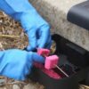 Данас почиње јесења дератизација