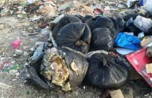 Идентификовано лице које је одложило клаонички отпад