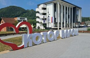 Јавни позив организацијама цивилног друштва/невладиним организацијама